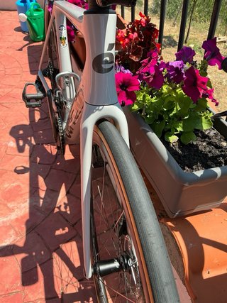 Cervelo R5 2024 Talla 54