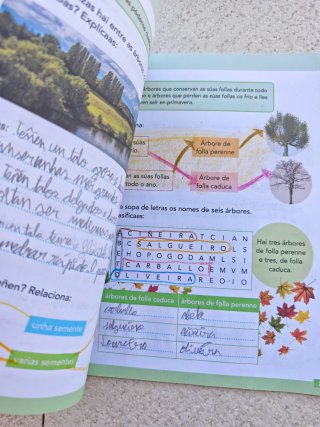 Práctica Ciencias da natureza 2 Primaria Anaya