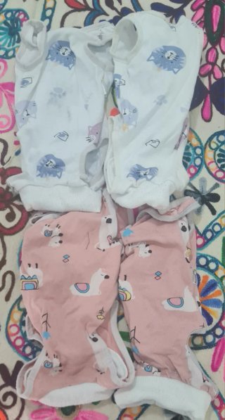 Trajes recuperación gato/perro (4 uds)