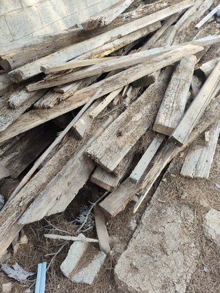 Leña para chimenea/barbacoa: troncos y piñas