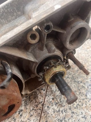 Motor Derbi Variant Completo