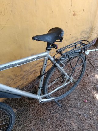 Bicicleta Gacela Plata