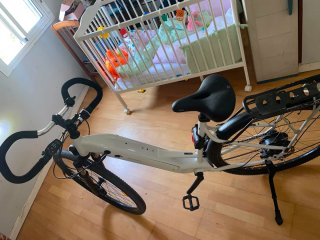 Bicicleta Eléctrica riverside e-activ 100