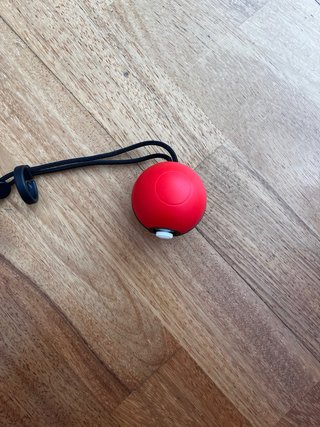 Mando Nintendo Poké Ball Plus