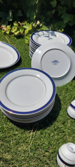 Vajilla Porcelana Alemana Solingen Completa
