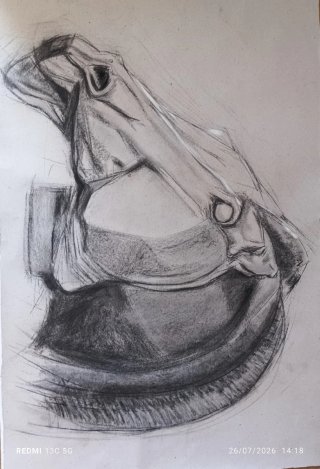 Dibujo a carboncillo de caballo