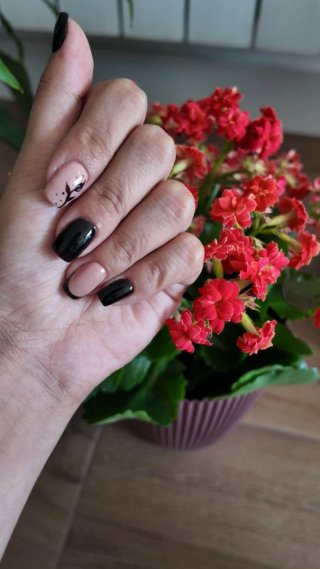 Servicios de manicura a domicilio