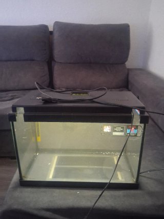 Terrario para reptiles, tortugas etc