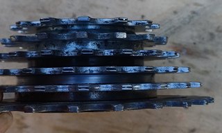 Pacco Pignoni Regina CX 6V 13/26
