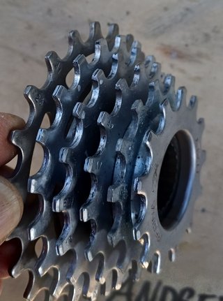 Pacco Pignoni Regina CX 6V 13/26