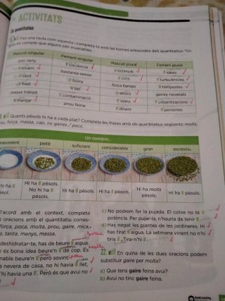 Libro Llengua Catalana 1 Eso