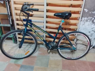 Bicicleta Globe Trotter