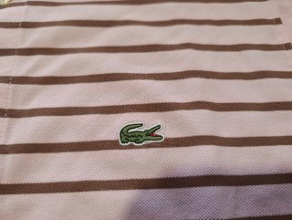 Polo Lacoste original, diferentes modelos de rayas
