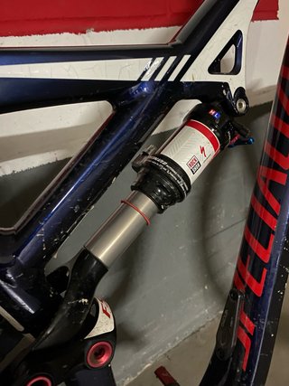 Specialized Camber 29 Doble Suspensión