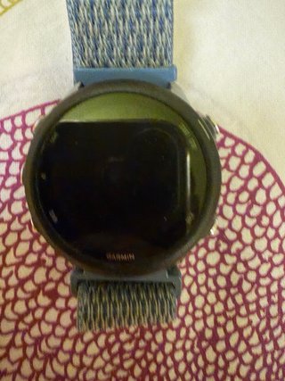 Garmin Forerunner 245 Azul/Gris