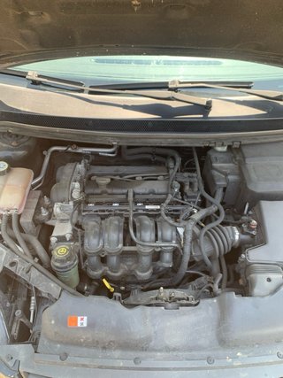 Ford Focus 2010