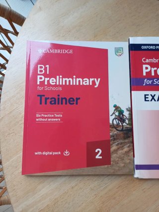 B1 Preliminary for Schools Trainer 2 Trainer wi...