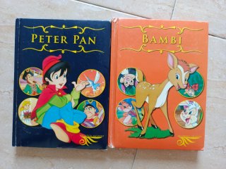 Lote de libros infantiles y cuentos