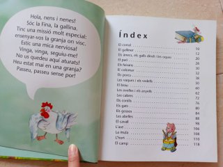 Lote de libros infantiles y cuentos