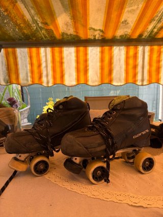 Equipo de hockey patines y protecciones