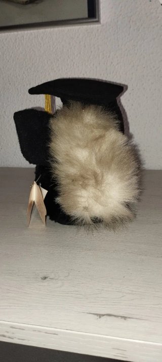 Furby  Graduado edición limitada