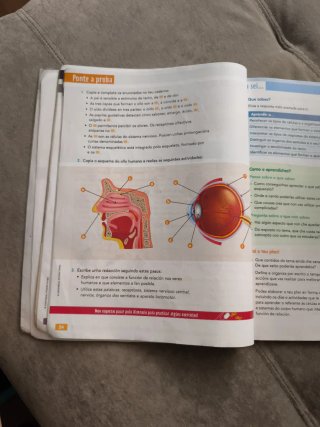 Ciencias da natureza, 6 Educación Primaria