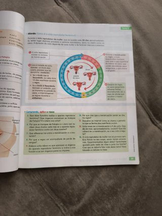 Ciencias da natureza, 6 Educación Primaria