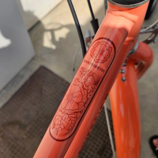 Bicicleta niña R24 color coral