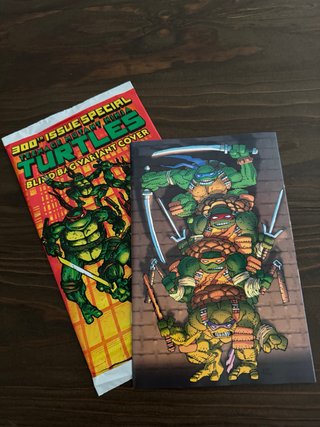 Tmnt #300 portada de Frank Miller virgin