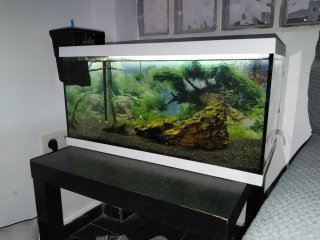 Acuario completo 30x30x60