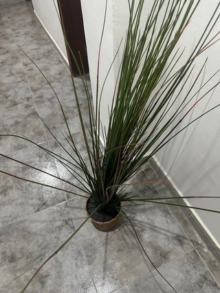 Planta artificial decorativa