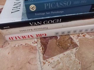Set 6 libri arte: Picasso, Vangogh, Grünewald...