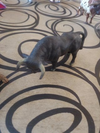Lote de 8 figuras de toros