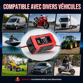 Cargador Baterías Coche 12V/24V 15A/8A Inteligente