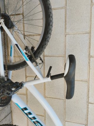 Bicicleta Infantil WEED STRONG 240