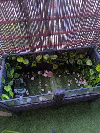 Terrario para tortugas de agua y de tierra