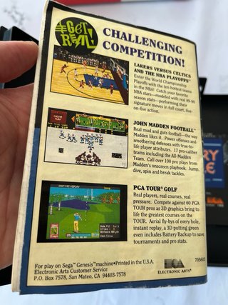 The Faery Tale Adventure Sega Genesis - Megadrive