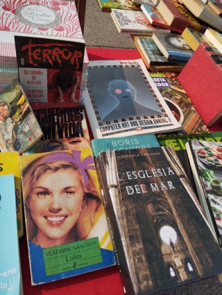 Lote 30 Libros Lectura Castellano