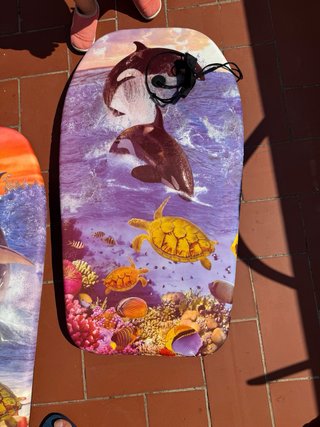Tablas de Surf de 84 cm  (Bodyboard )