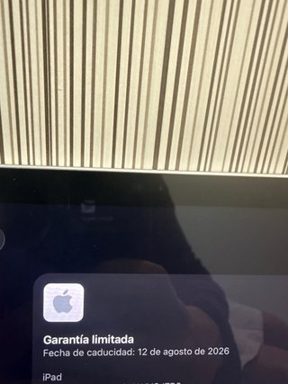 iPad plata