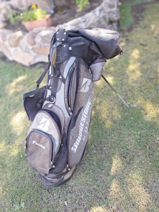 Lote 8 palos de golf + bolsa + recuperador