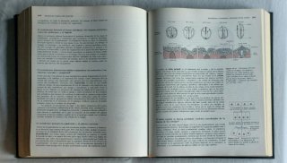 Biología Molecular de la Célula ISBN 84-282-0752-6