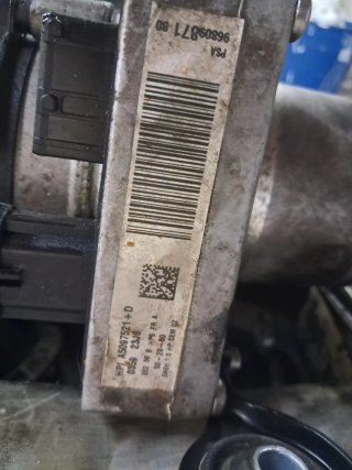 Bomba dirección asistida 307