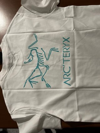T-shirt Arc'teryx bianca cotone heavyweight