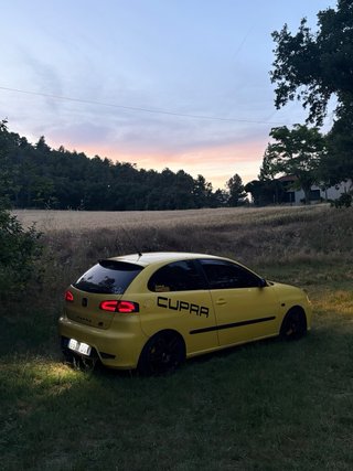 SEAT Ibiza Cupra Tdi 2005