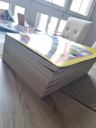 LOTE 14 REVISTAS AMSTARD USER