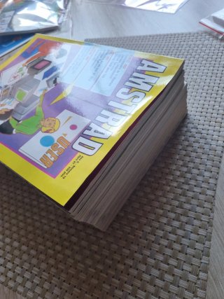 LOTE 14 REVISTAS AMSTARD USER