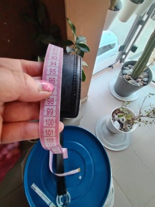 Cintura Gherardini Nera Fibbia Argento
