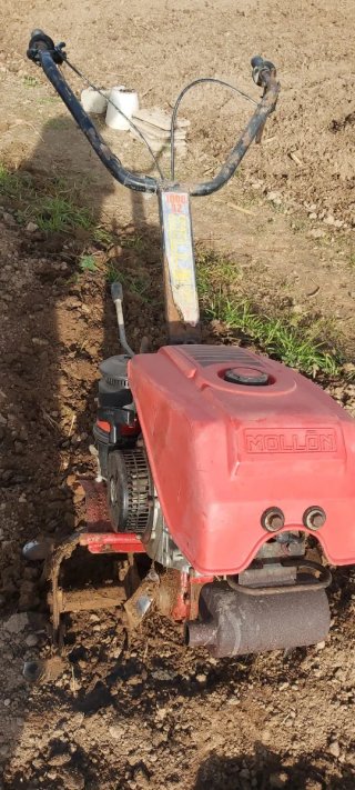 Motocultor Mollon Rojo