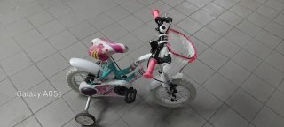 Bicicletta bambina Girl SBK